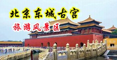 AV无套免费网站中国北京-东城古宫旅游风景区